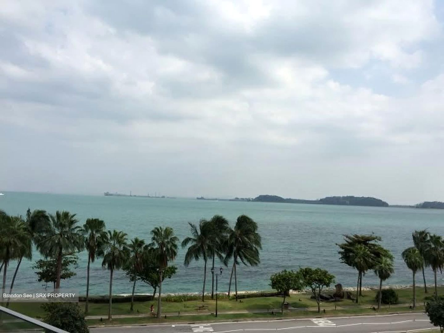 The Coast at Sentosa Cove (D4), Condominium #582191391